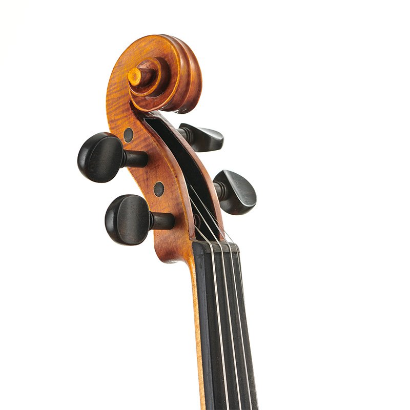 Stentor Arcadia Violin Outfit (1880OFTA)