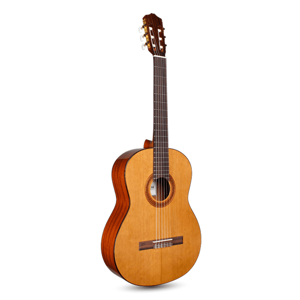 Cordoba Dolce (7/8 Size) Natural Gloss Guitar