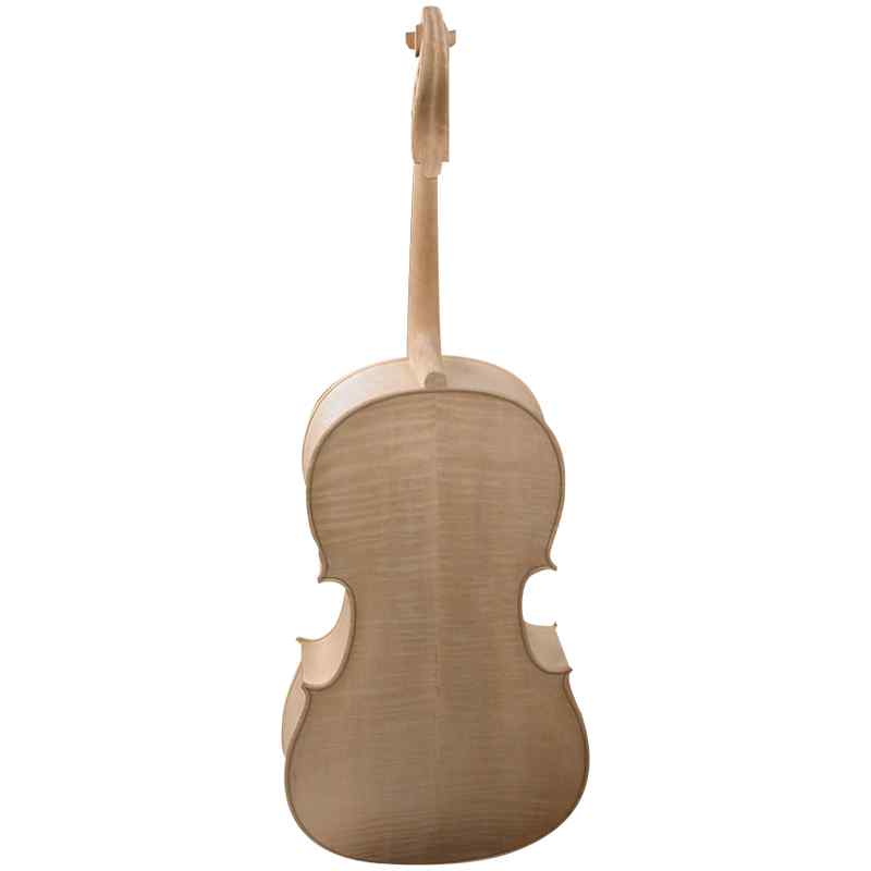 cello in the white