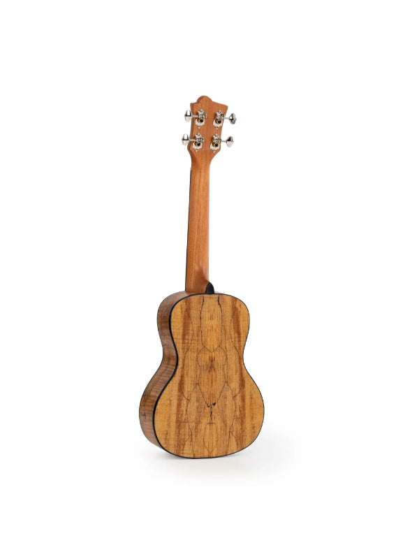 Octopus Spalted maple with solid spruce top concert ukulele