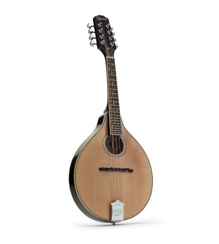 Ozark's 2251 'A' model mandolin is a great value instrument