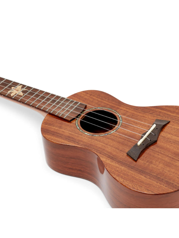 Snail BHC-8C Solid Acacia top, laminated Concert Ukulele