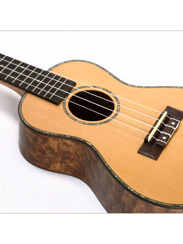 Snail UKC-AR400 - Solid Spruce Concert Ukulele