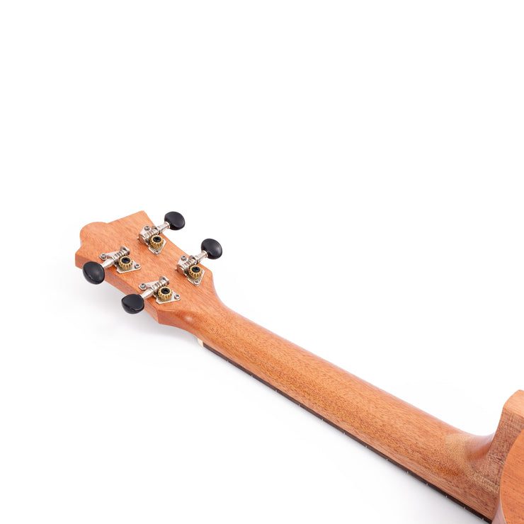 Octopus Academy tenor ukulele