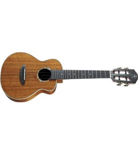 aNueNue BIRD UC5K CONCERT UKULELE