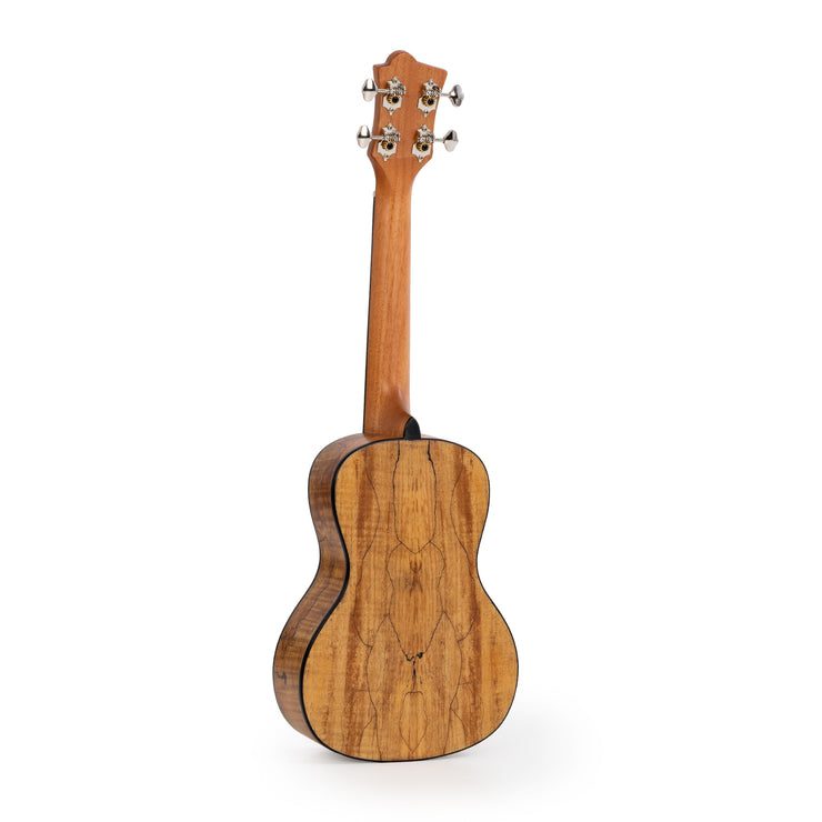 Octopus Spalted maple with solid spruce top concert ukulele