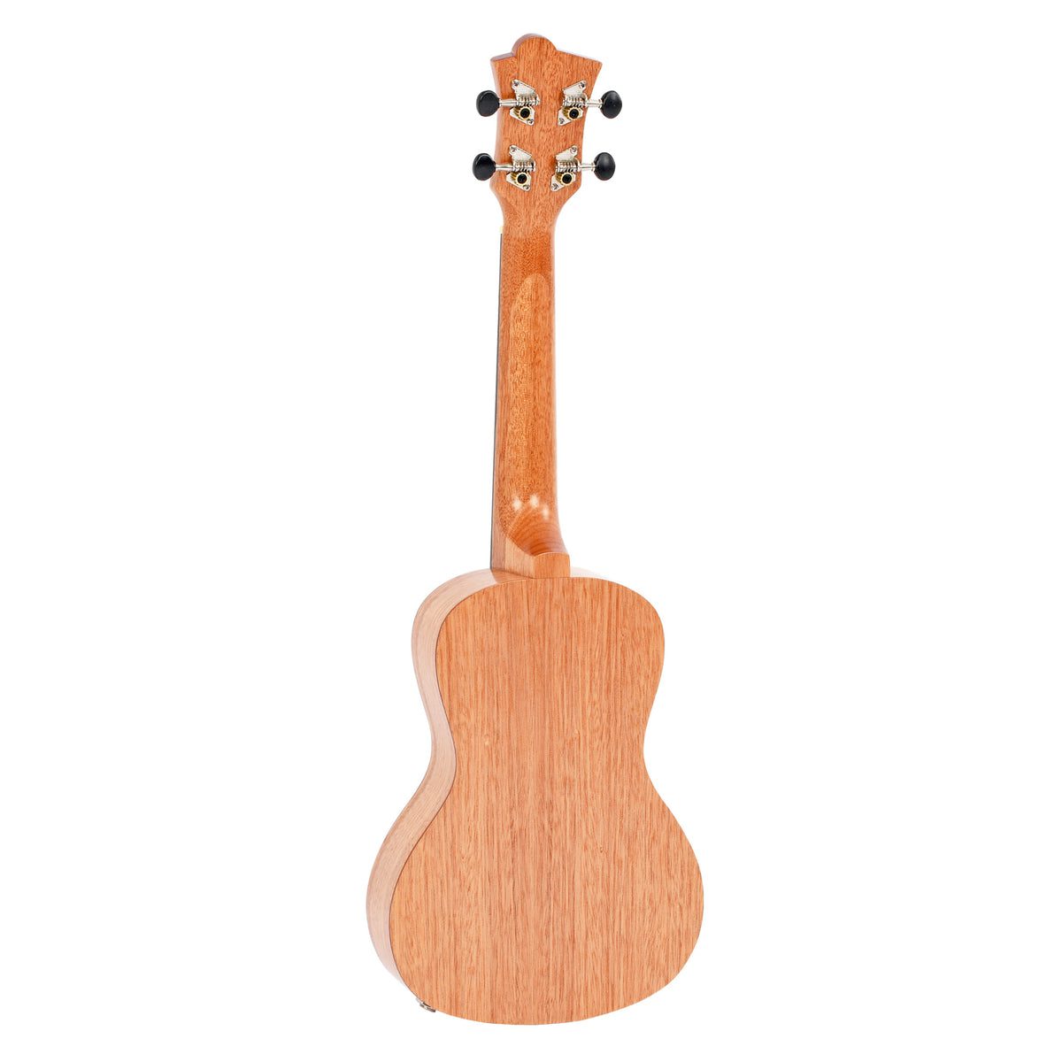 Octopus Academy series electro-acoustic concert ukulele