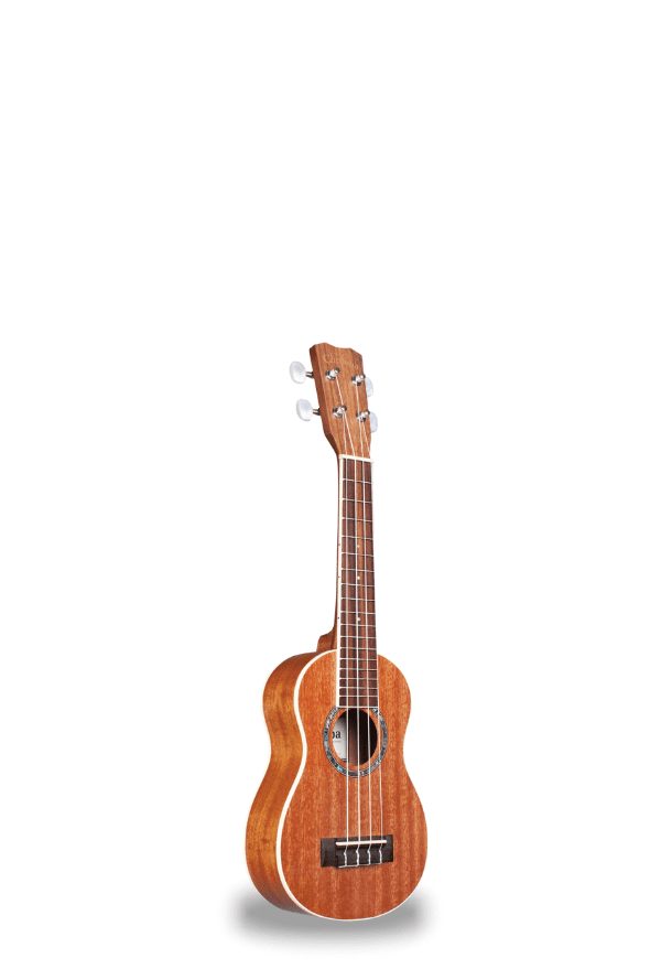 Cordoba 15CB Bocote Concert