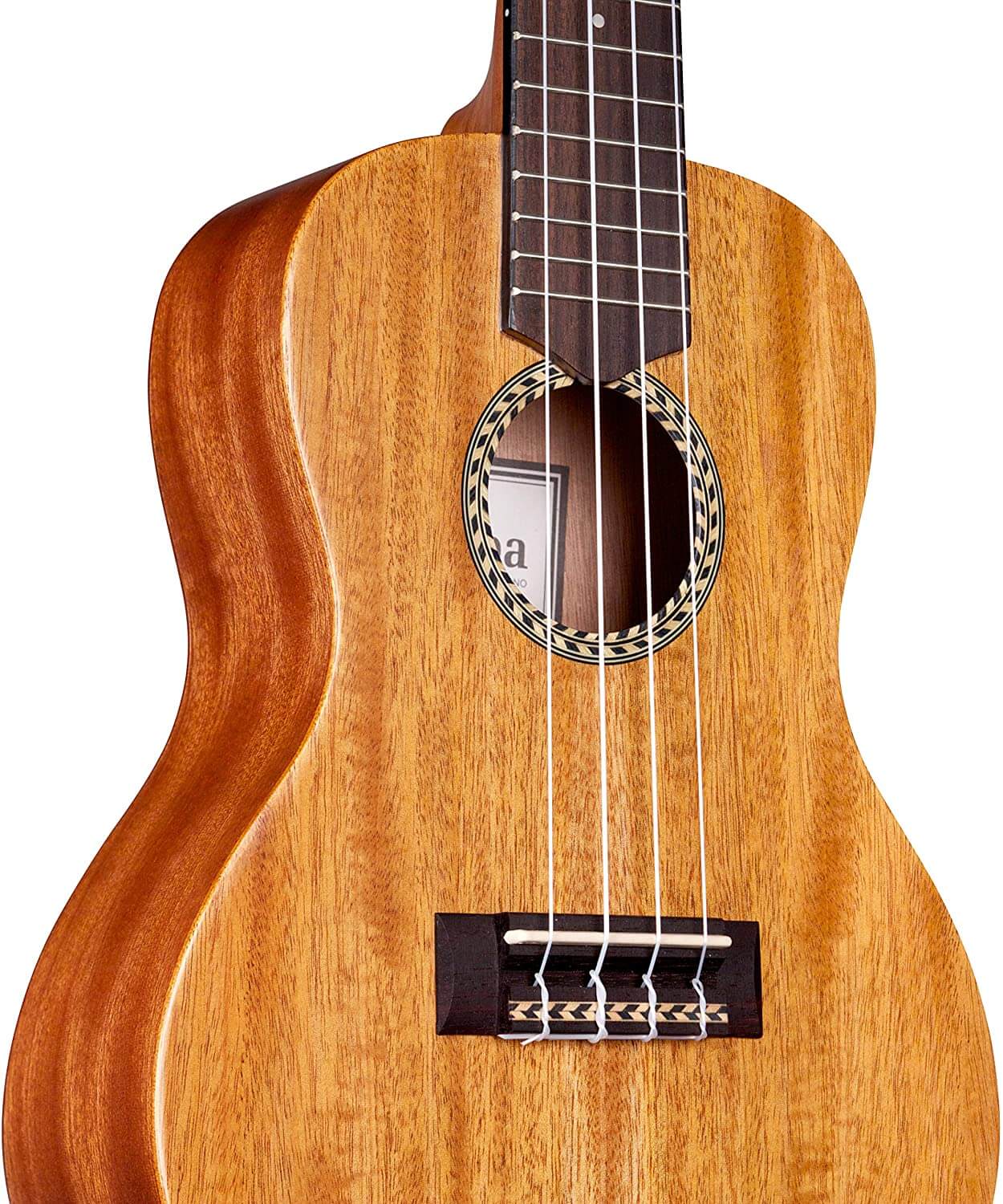 Cordoba 20CM Concert Ukulele