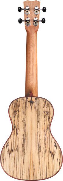 Cordoba 24C Spruce Concert Ukulele