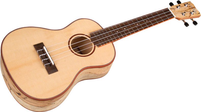 Cordoba 24C Spruce Concert Ukulele