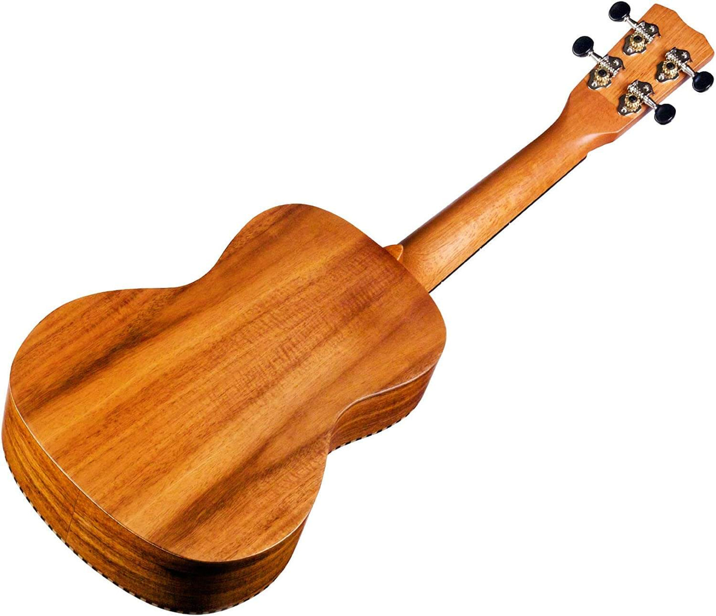 Cordoba 25C Concert Ukulele