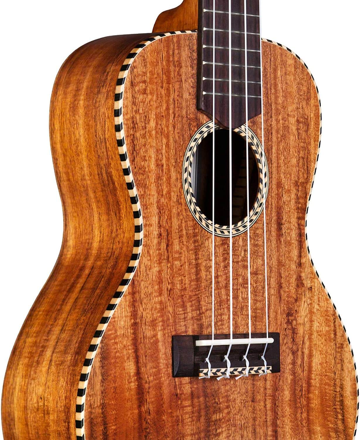 Cordoba 25C Concert Ukulele