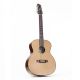 Ozark 12 String Guitar