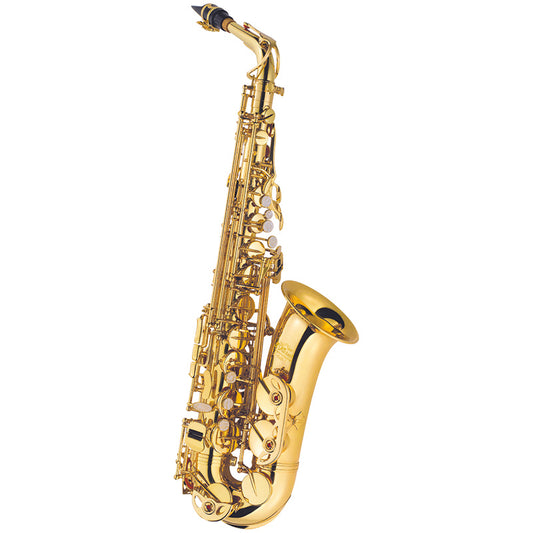 J.Michael alto saxophone outfit (4460)