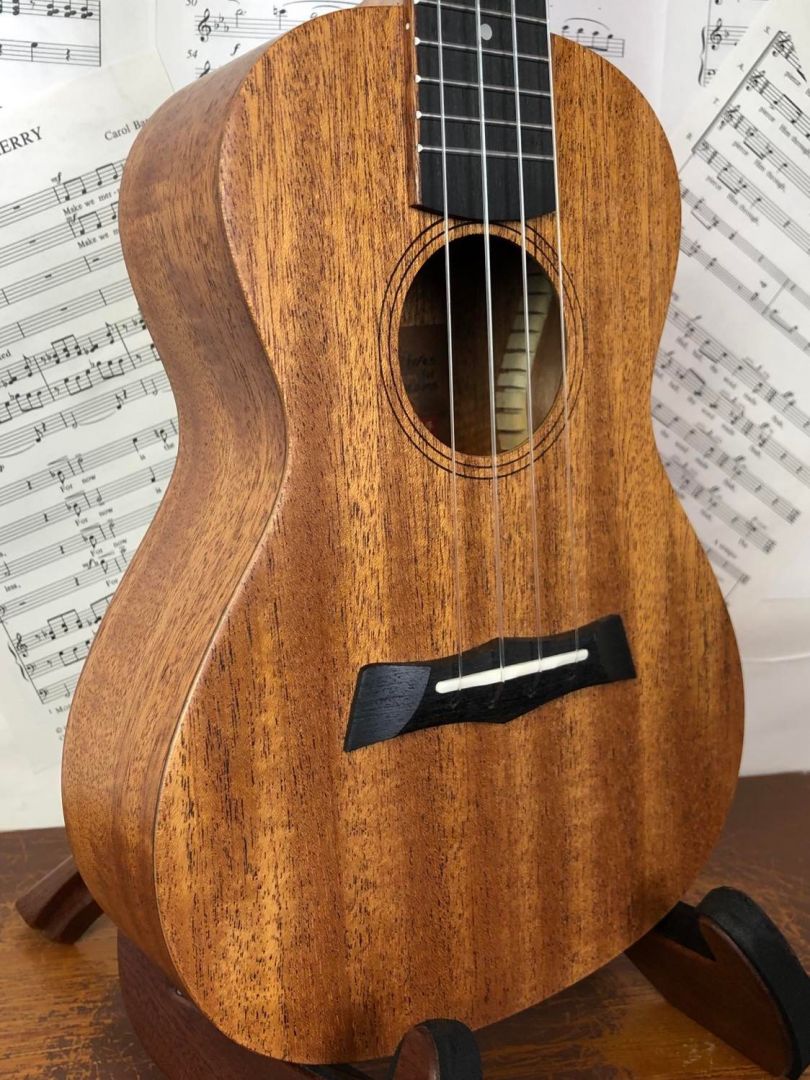 Snail C-03 Mahogany Concert Ukulele with Gig Bag and Aquila Nylgut Strings (Concert Ukulele)