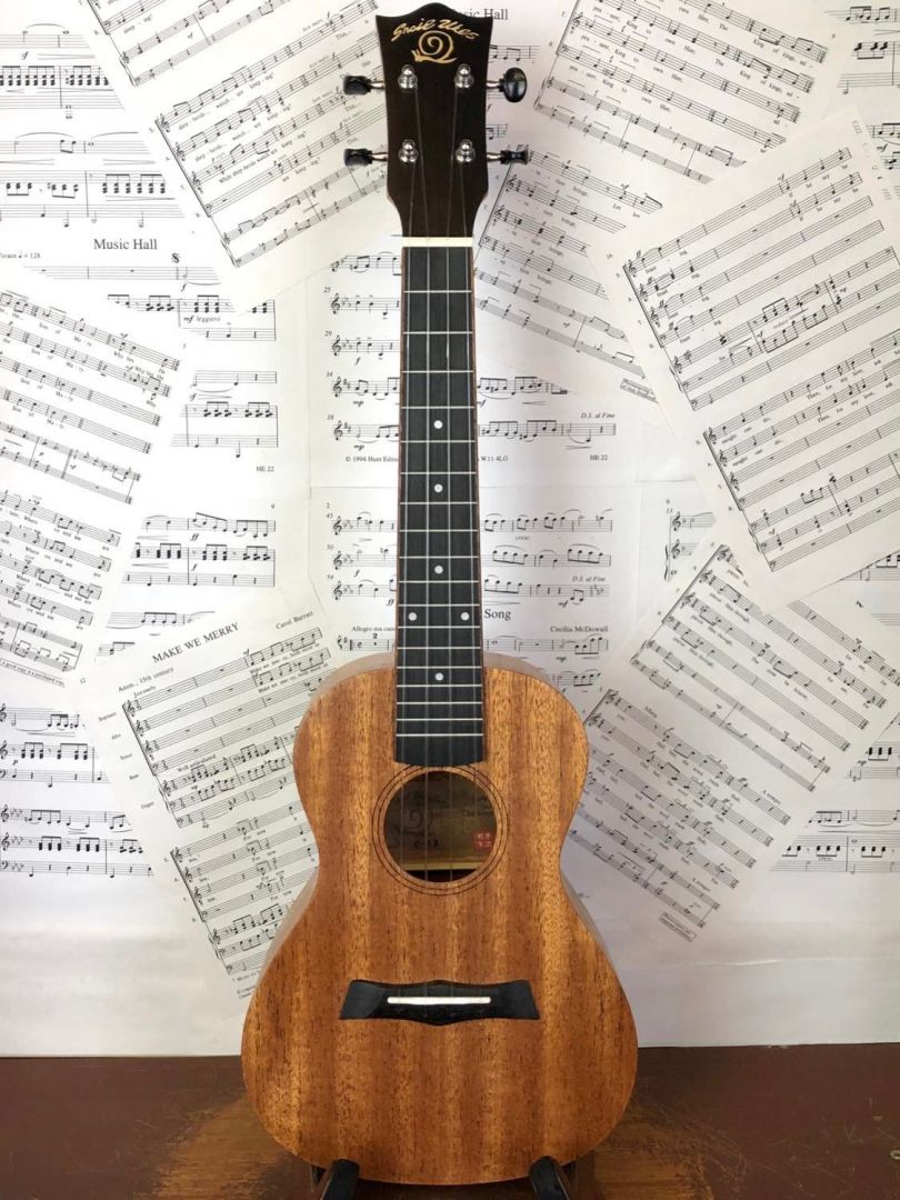 Snail C-03 Mahogany Concert Ukulele with Gig Bag and Aquila Nylgut Strings (Concert Ukulele)