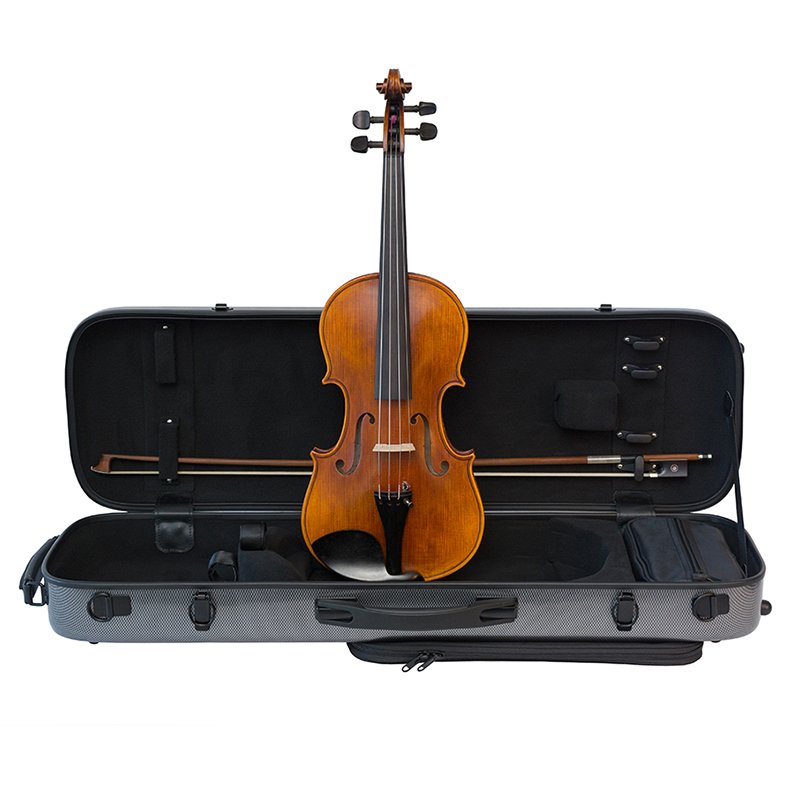 Stentor Arcadia Violin Outfit (1880OFTA)