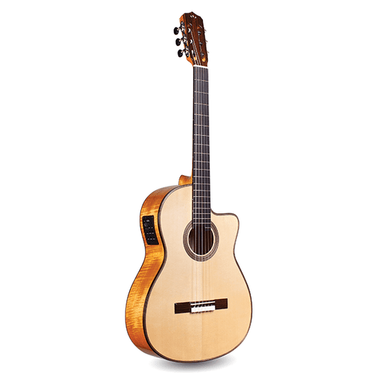 Cordoba Fusion 14 Maple, crossover