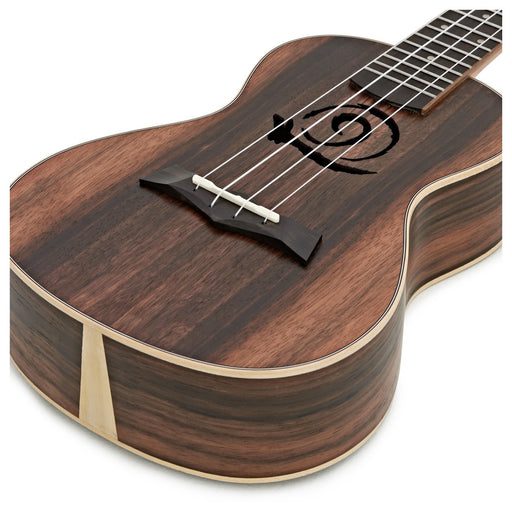 SNAIL UKC-T483 Ebony, Wood Binding Concert Ukulele