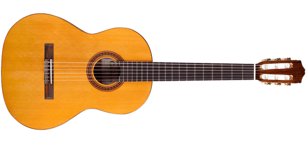 Cordoba Dolce (7/8 Size) Natural Gloss Guitar