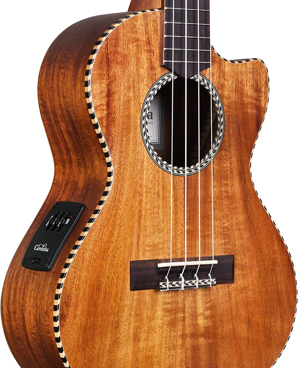 Cordoba 25T-CE Tenor Ukulele