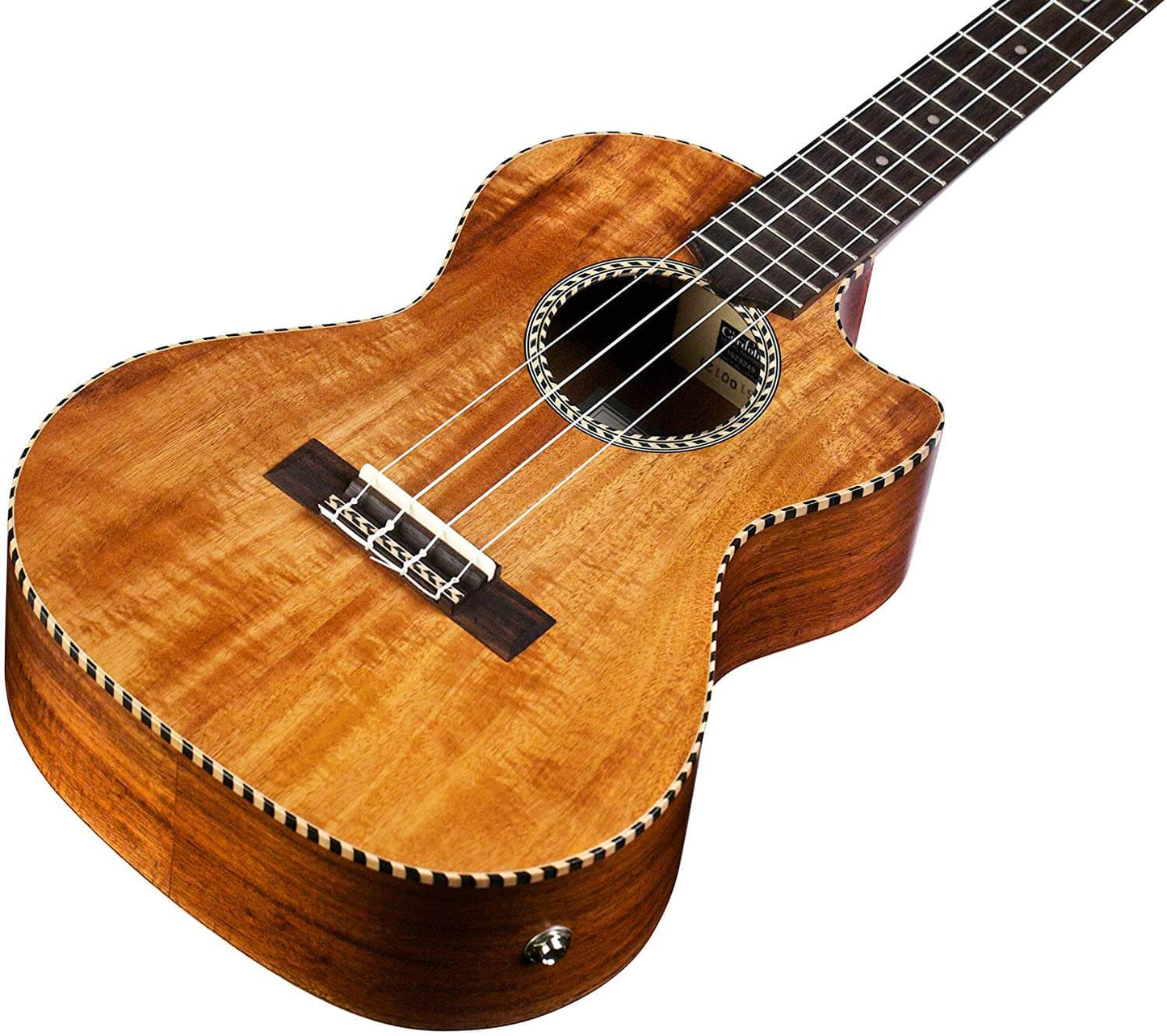 Cordoba 25T-CE Tenor Ukulele