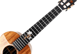 Enya EUT-X2K Solid Acacia Tenor Ukulele