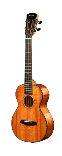 Advance Ukulele