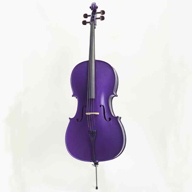 Harlequin cello outfit purple