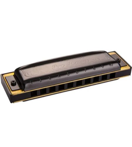 Hohner 562/20 MS D PRO HARP Harmonica