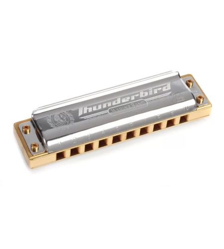 Hohner MARINE BAND THUNDERBIRD G LOW OCT Harmonica