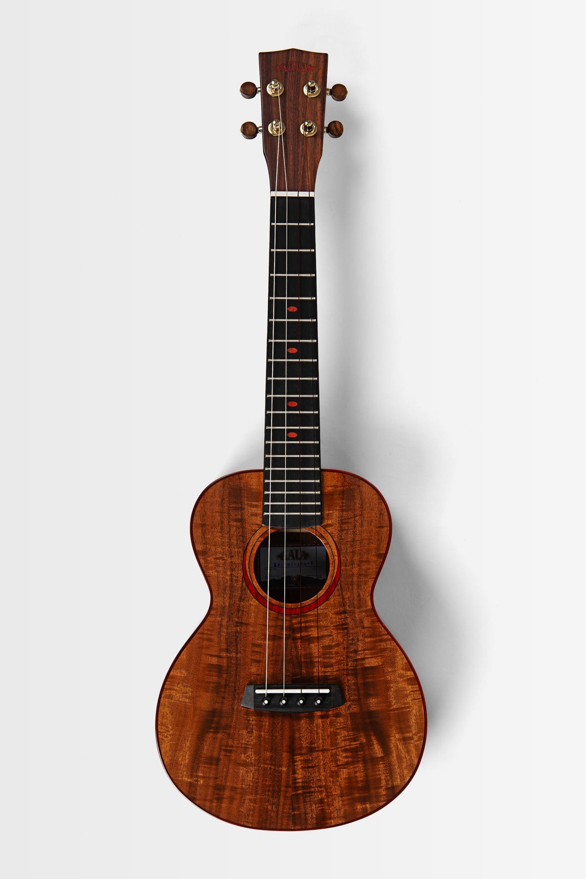 Kala KA-POI-ACA-T Acacia Poi Pounder Tenor Ukulele With Bag
