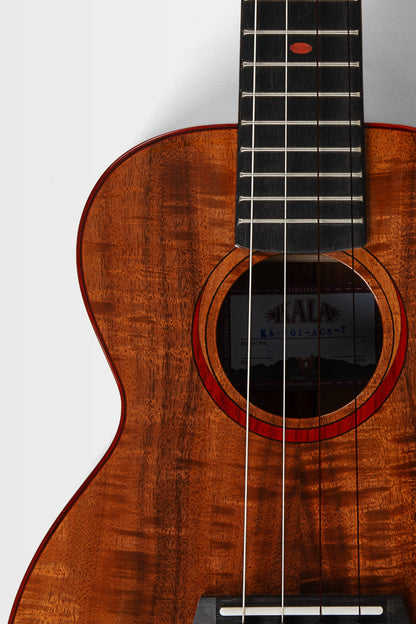 Kala KA-POI-ACA-T Acacia Poi Pounder Tenor Ukulele With Bag