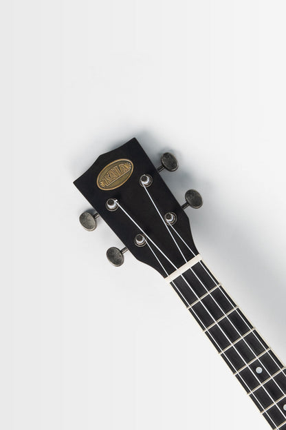 Kala KA-RES-BNI-T-E Brushed Nickel Tenor Resonator Ukulele with EQ With Bag