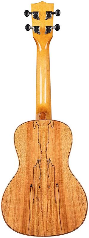 KALA KA-FMCG Concert Solid Spruce Top - Flame Maple B/S