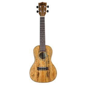 KALA MCG CONCERT UKULELE