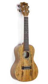 KALA MCG CONCERT UKULELE