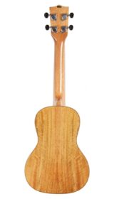 KALA MCG CONCERT UKULELE