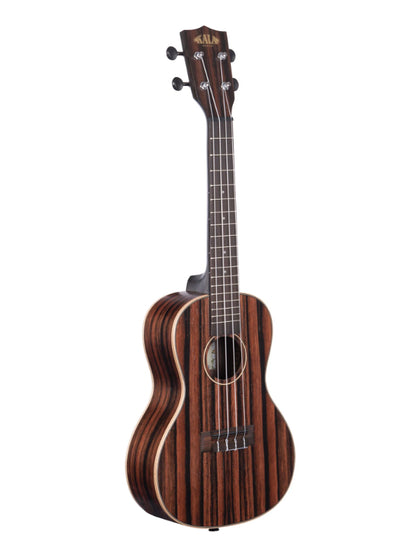 KALA KA-EBY-C STRIPED EBONY CONCERT UKULELE