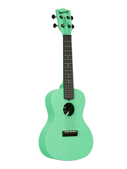 Kala KA-R-WMS-GN-C Seafoam Green Concert Recycled Waterman Ukulele