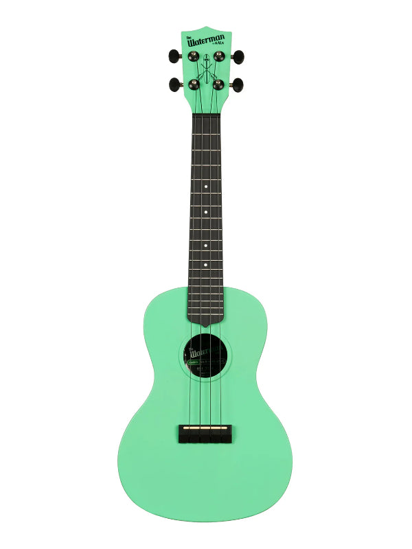 Kala KA-R-WMS-GN-C Seafoam Green Concert Recycled Waterman Ukulele