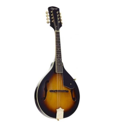 Ozark 'A' model mandolin(2073)