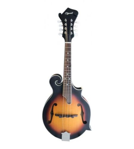 Ozark 'F' model mandolin solid top(2455)