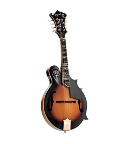 Ozark 'F' model mandolin(2255)