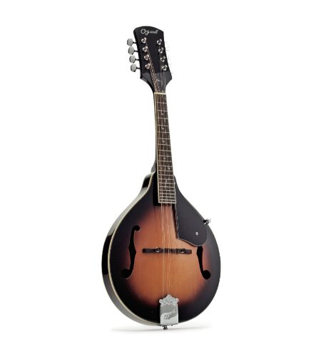 Ozark arched top 'A' mandolin(2071)