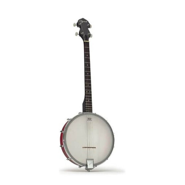 Ozark open back tenor banjo (2102T)
