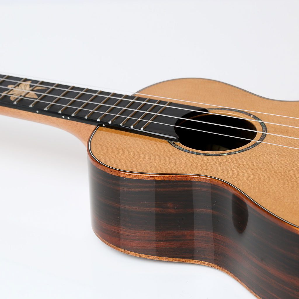 Snail BHC-6CS Solid Cedar Top, ebony Back & Sides with Concert Ukulele satin Including premium Snail Padded Gig Bag