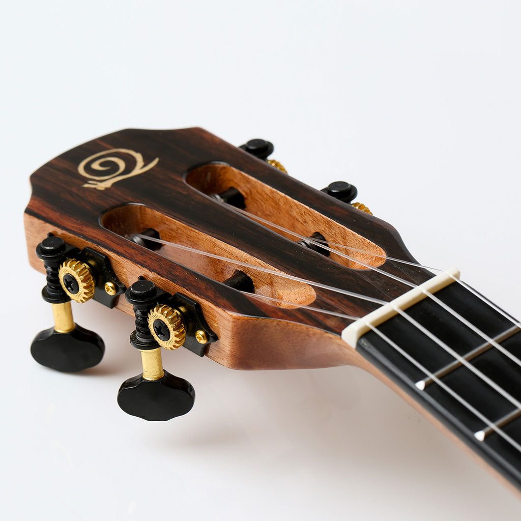 Snail BHC-6CS Solid Cedar Top, ebony Back & Sides with Concert Ukulele satin Including premium Snail Padded Gig Bag