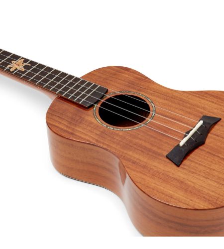 Snail BHC-8T Solid Acacia top, laminated back &amp; Sides Tenor Ukulele Including premium Snail Padded Gig Bag